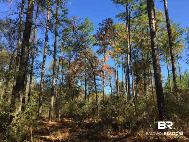 0 Boothtown Road Citronelle, AL 36522 - Photo 7 of 10
