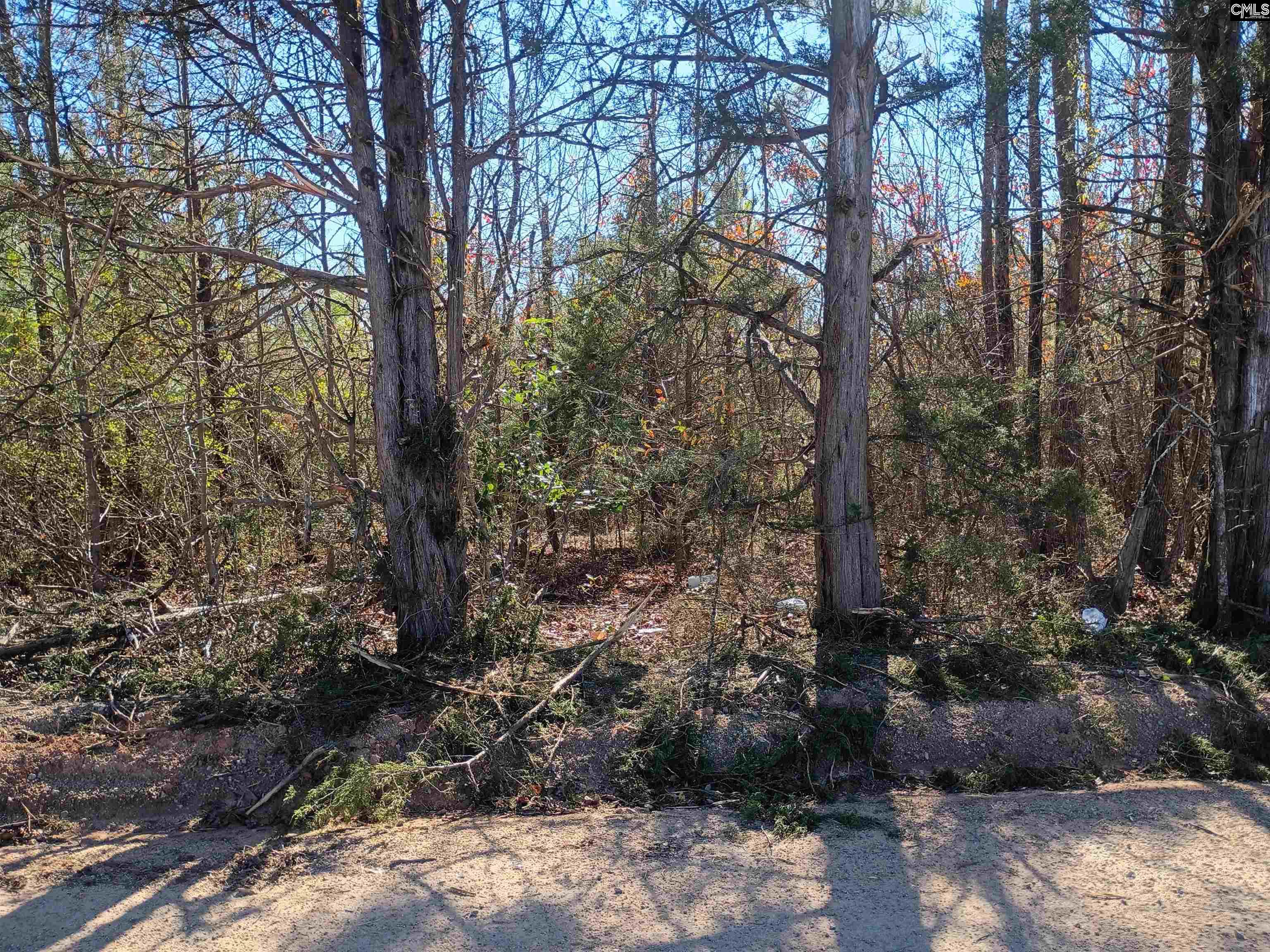 1163 June Berry Road Camden, SC 29020 - Photo 3 of 20