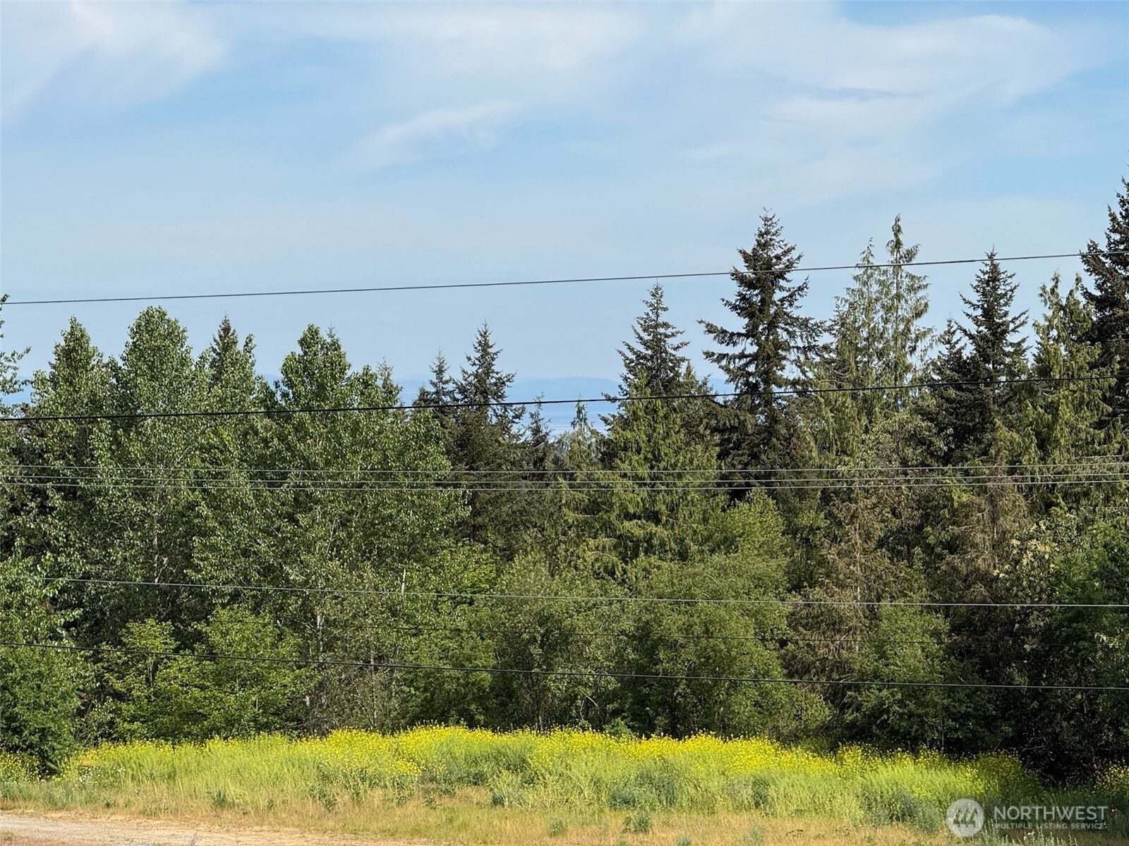 46 Cliff Robinson Lane Sequim, WA 98382 - Photo 36 of 39