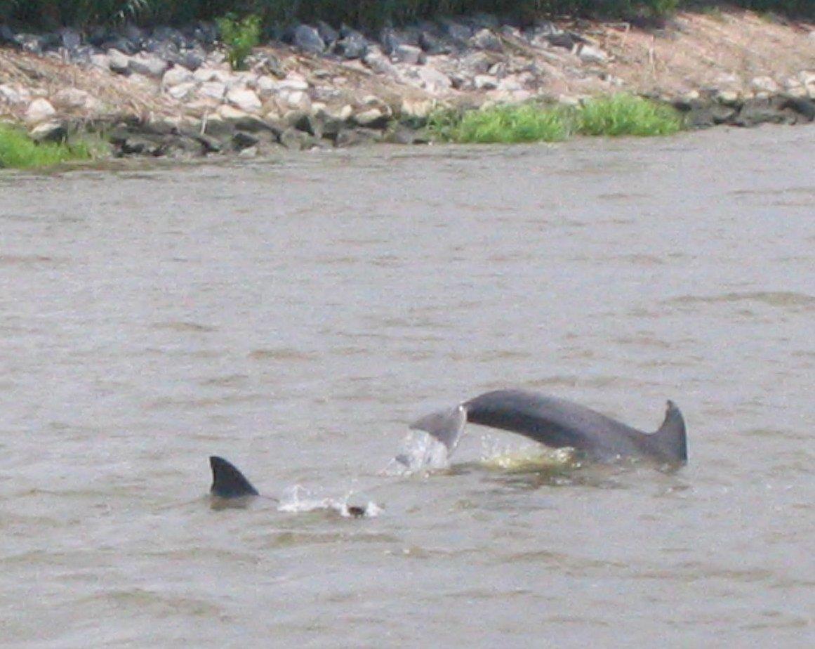 40 Friendfield Marina Georgetown Sc 29440 Georgetown, SC 29440 - Photo 15 of 29