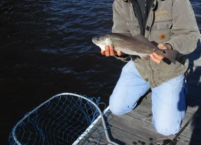 $54,900 | 40 Friendfield Marina Georgetown Sc 29440, Georgetown, SC 29440