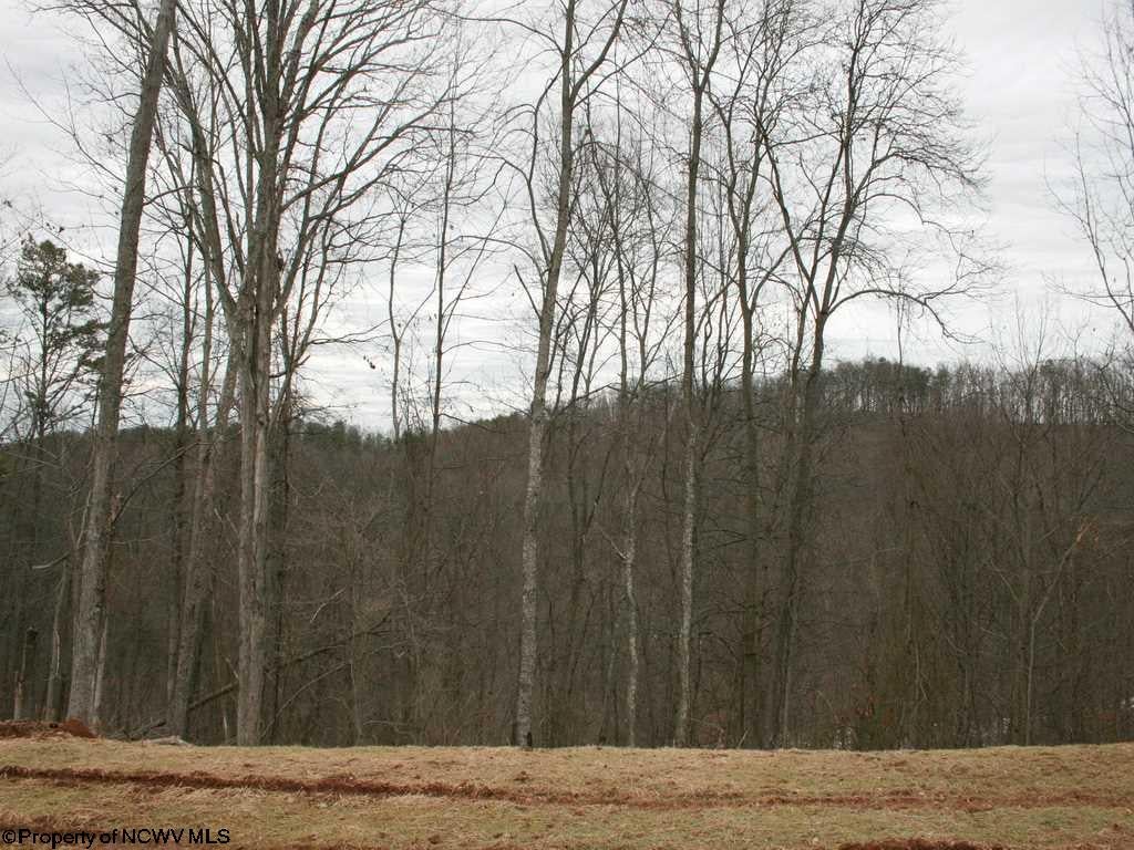 888 Ramsey Ridge Road West Union, WV 26456 - Photo 19 of 20 Gallery Image 19