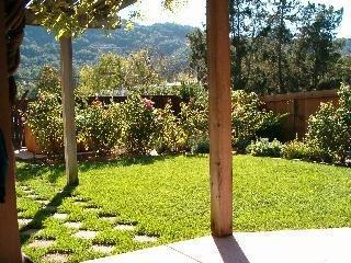 80 El Pavo Real Circle San Rafael, CA 94903 - Photo 11 of 11 a view of a yard with plants
