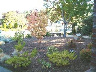 80 El Pavo Real Circle San Rafael, CA 94903 - Photo 6 of 11 a backyard of a house with lots of green space