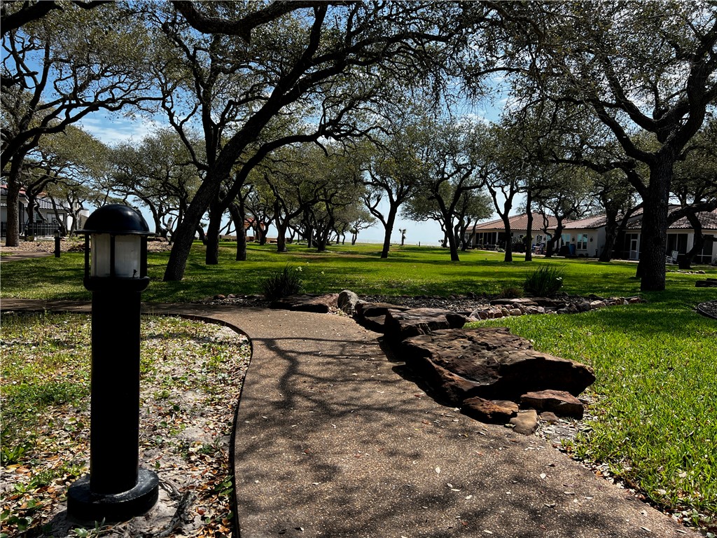1035 North Fulton Beach Road Fulton, TX 78382 - Photo 18 of 25 a view of a park with large trees
