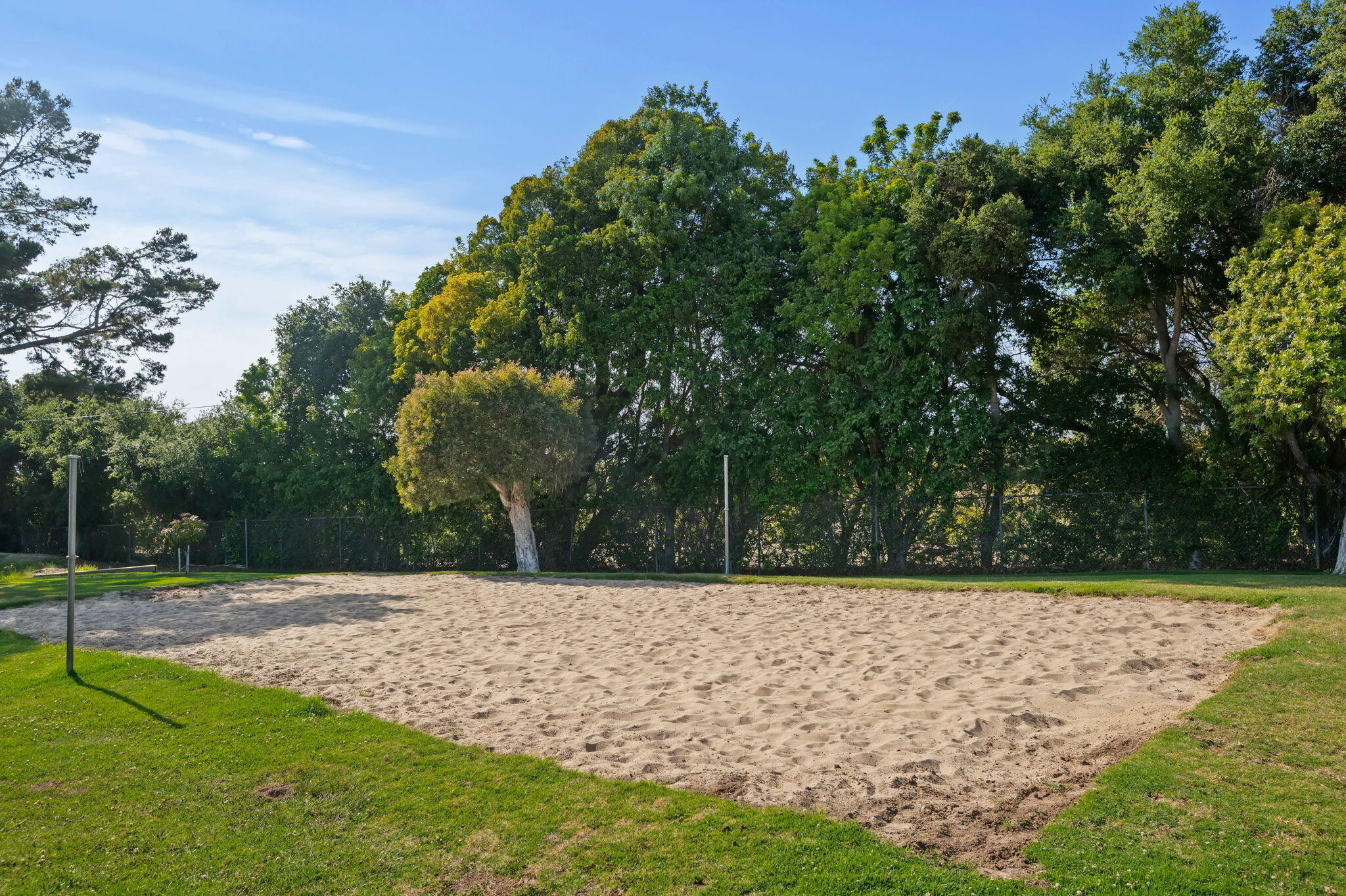 5930 Via Real, Unit 3 Carpinteria, CA 93013 - Photo 20 of 25 a view of a yard with a trees