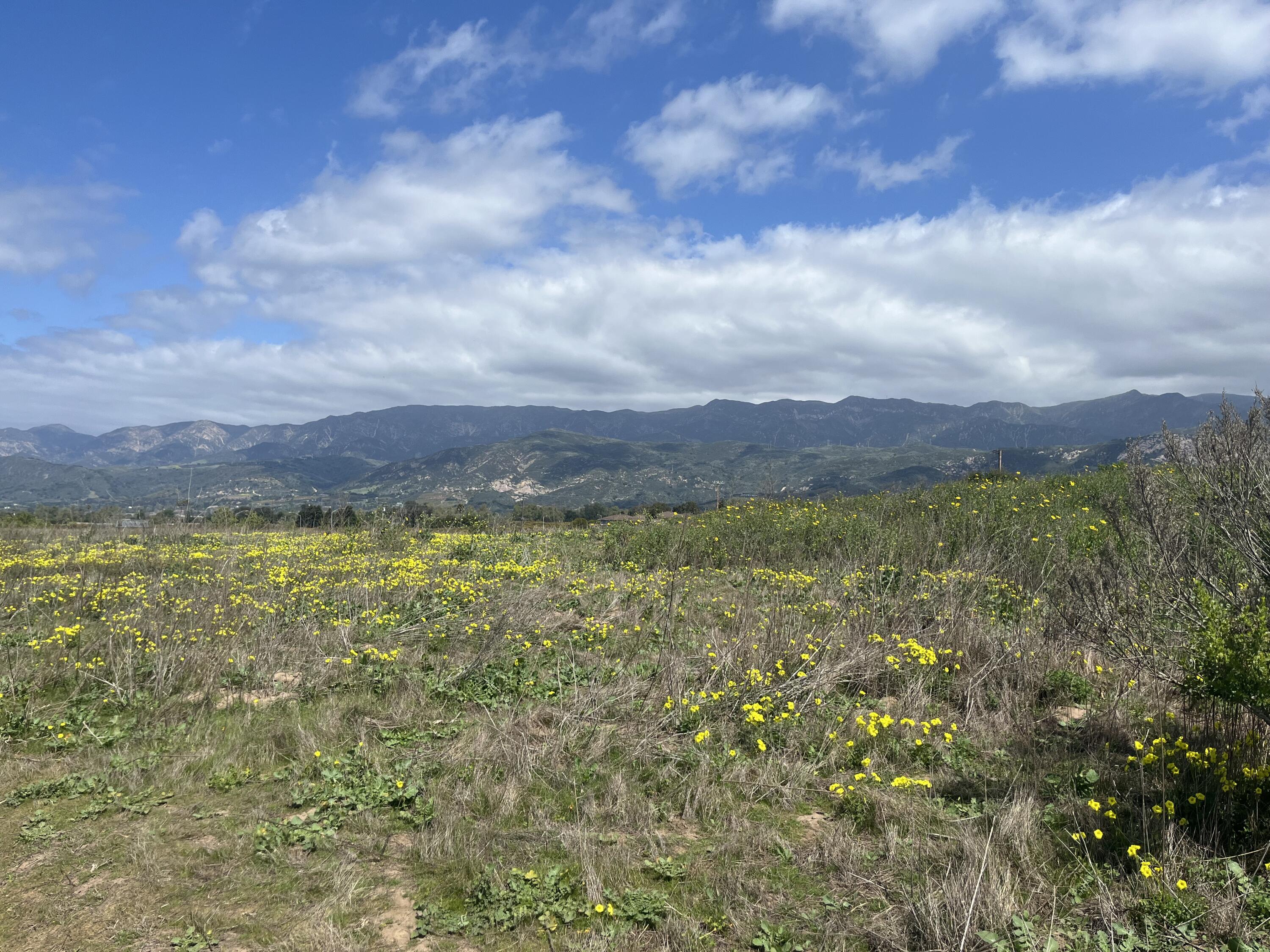 5930 Via Real, Unit 3 Carpinteria, CA 93013 - Photo 24 of 25 a view of an outdoor space and mountain view
