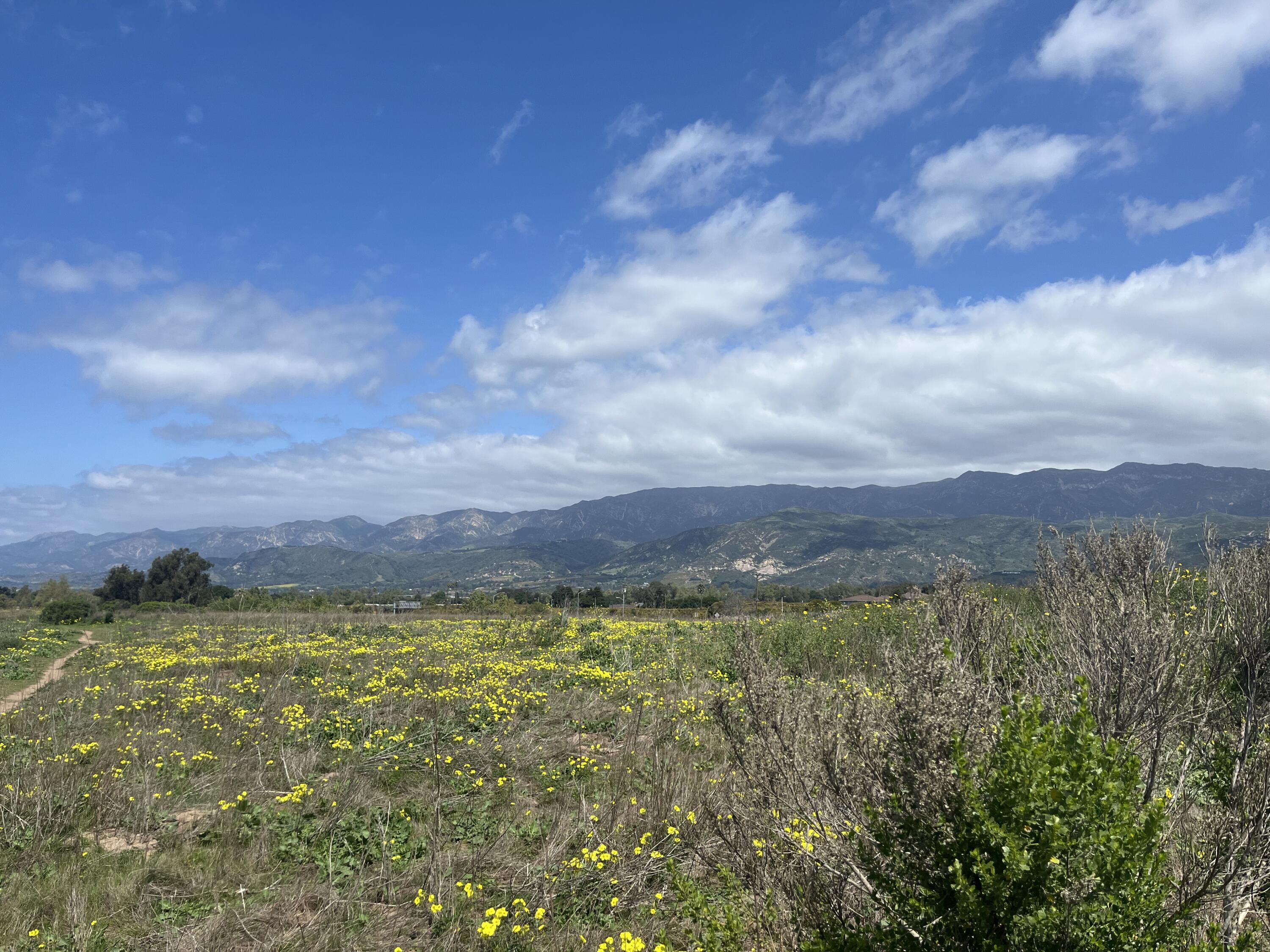 5930 Via Real, Unit 3 Carpinteria, CA 93013 - Photo 25 of 25 a view of a swimming pool and mountains in the background
