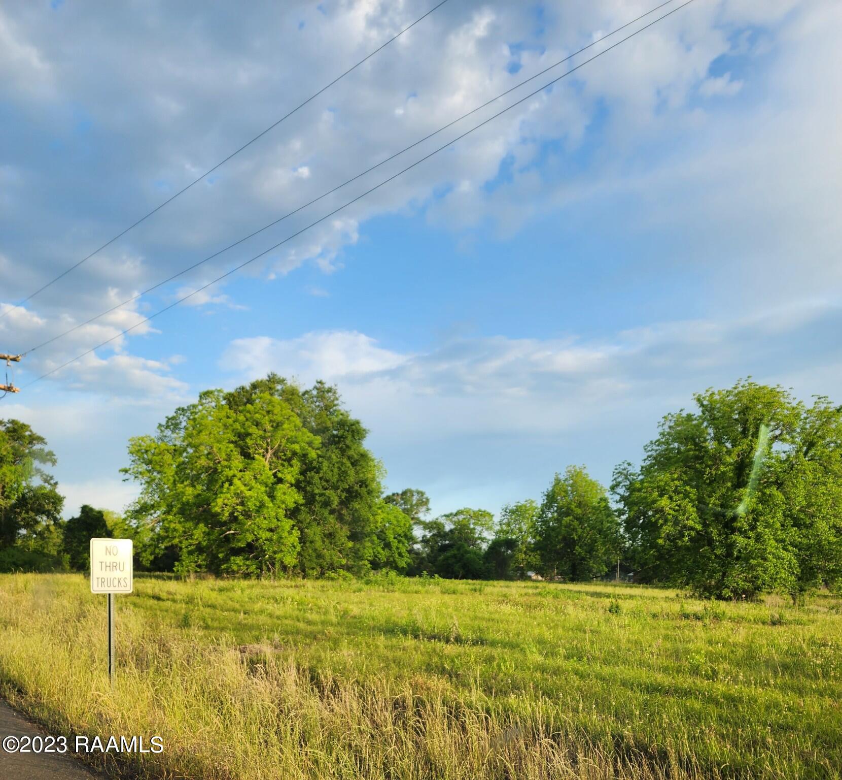 Tbd Tbd I-49 Service Road, Unit LOT 2 Sunset, LA 70584 - Photo 3 of 4 image000000 (3) - Copy