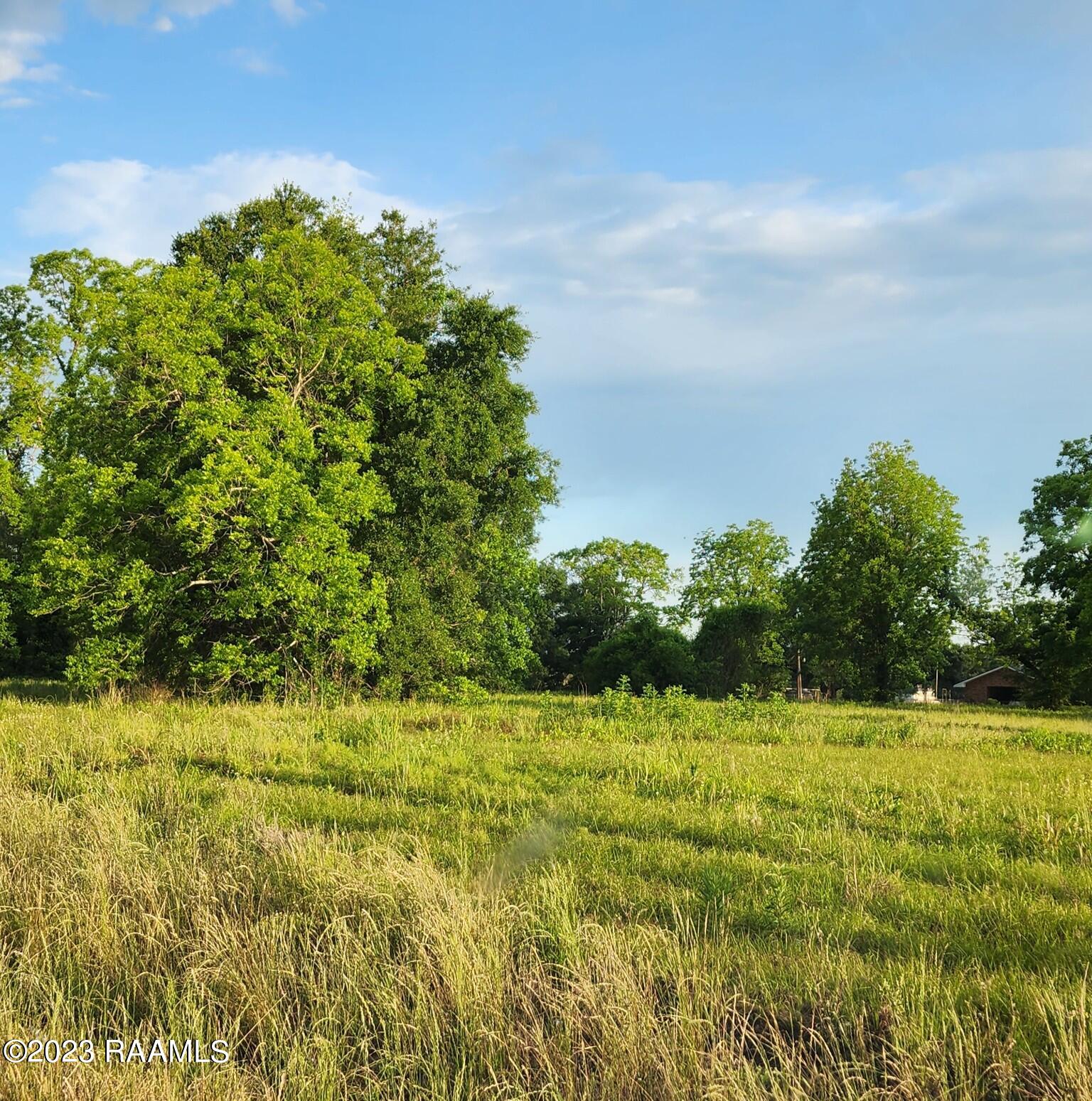 Tbd Tbd I-49 Service Road, Unit LOT 2 Sunset, LA 70584 - Photo 4 of 4 image000000