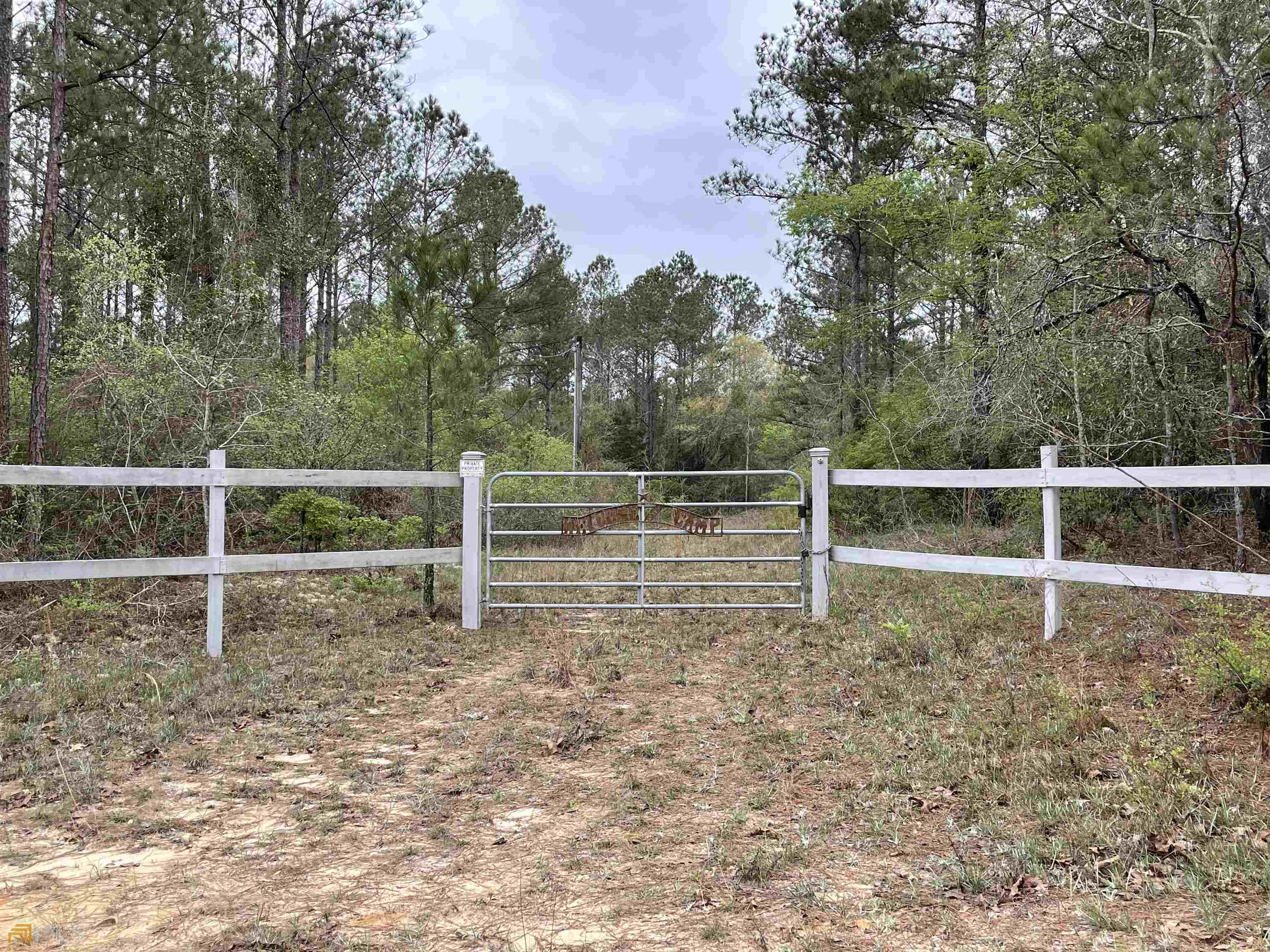 77 Gable Road Rupert, GA 31081 - Photo 1 of 1 a view of yard with green space