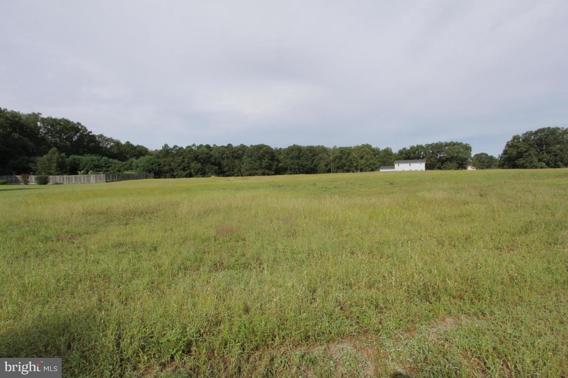 0 Hawkin Road Cream Ridge, NJ 08514 - Photo 3 of 3