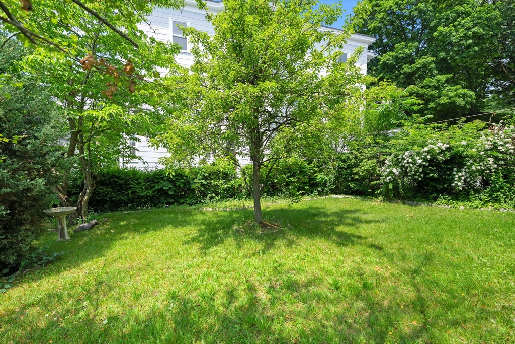 18 Raddin Grove Avenue Lynn, MA 01905 - Photo 39 of 42