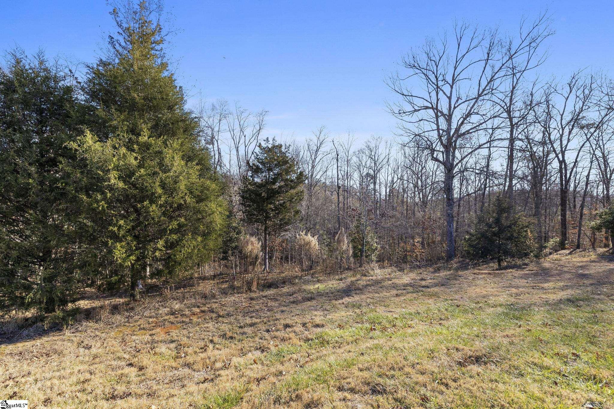 650 Belvue Road Travelers Rest, SC 29690 - Photo 31 of 35