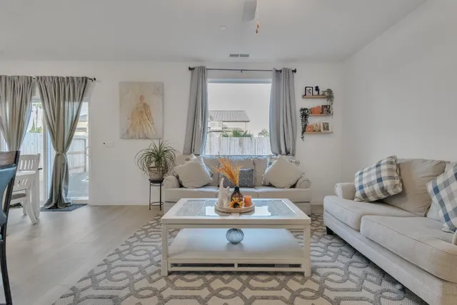 a living room with furniture and a potted plant