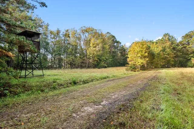 $2,945,000 | 527-acres Spring Grove Road, Adams Run, SC 29426