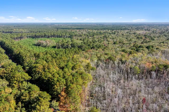 $2,945,000 | 527-acres Spring Grove Road, Adams Run, SC 29426
