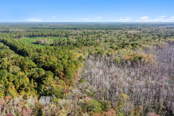 $2,945,000 | 527-acres Spring Grove Road, Adams Run, SC 29426
