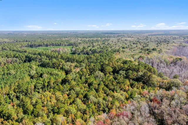 $2,945,000 | 527-acres Spring Grove Road, Adams Run, SC 29426