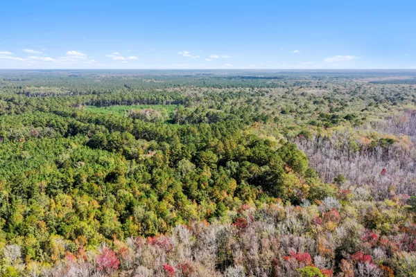 $2,945,000 | 527-acres Spring Grove Road, Adams Run, SC 29426