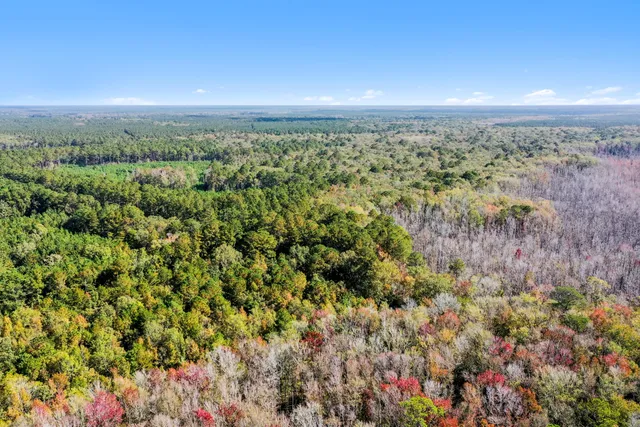 $2,945,000 | 527-acres Spring Grove Road, Adams Run, SC 29426