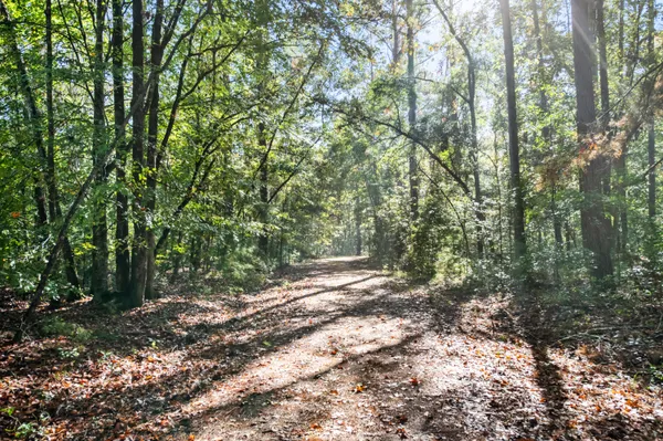 $2,945,000 | 527-acres Spring Grove Road, Adams Run, SC 29426