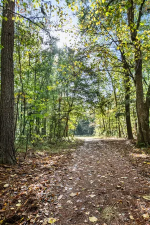 $2,945,000 | 527-acres Spring Grove Road, Adams Run, SC 29426