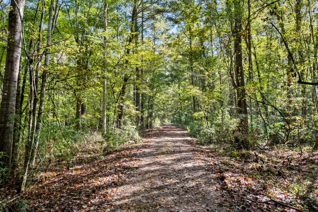 $2,945,000 | 527-acres Spring Grove Road, Adams Run, SC 29426