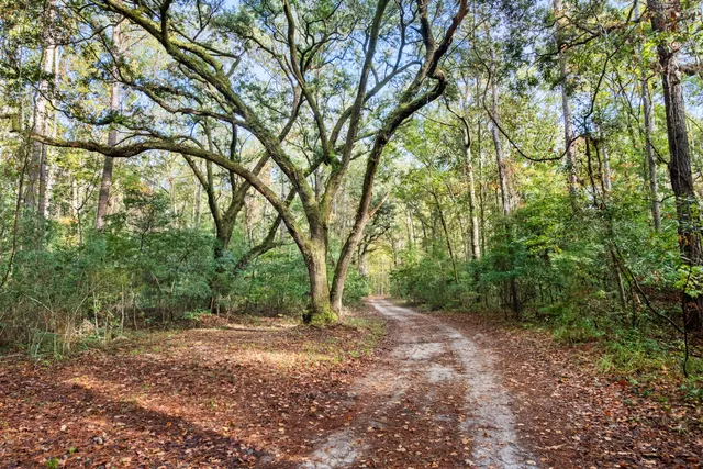$2,945,000 | 527-acres Spring Grove Road, Adams Run, SC 29426
