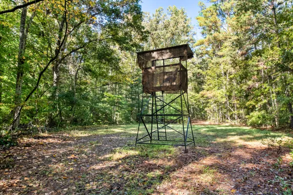 $2,945,000 | 527-acres Spring Grove Road, Adams Run, SC 29426