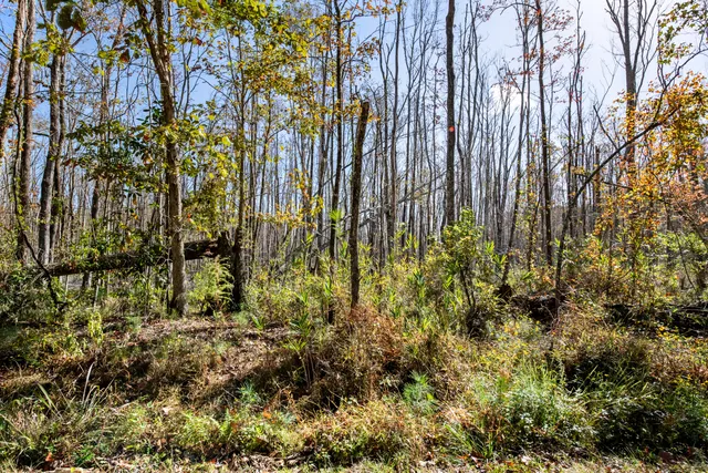 $2,945,000 | 527-acres Spring Grove Road, Adams Run, SC 29426