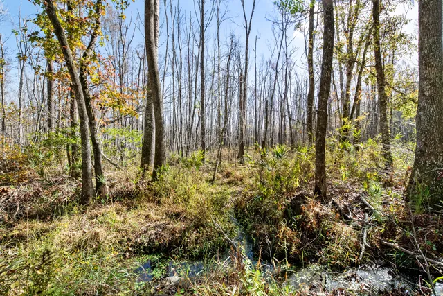 $2,945,000 | 527-acres Spring Grove Road, Adams Run, SC 29426