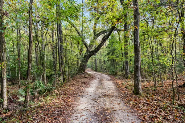 $2,945,000 | 527-acres Spring Grove Road, Adams Run, SC 29426