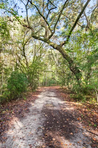 $2,945,000 | 527-acres Spring Grove Road, Adams Run, SC 29426