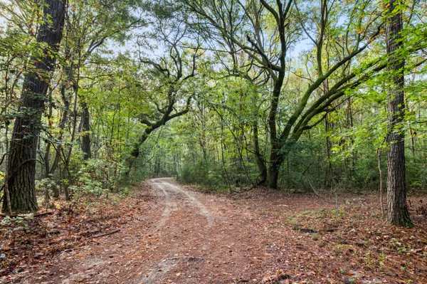 $2,945,000 | 527-acres Spring Grove Road, Adams Run, SC 29426