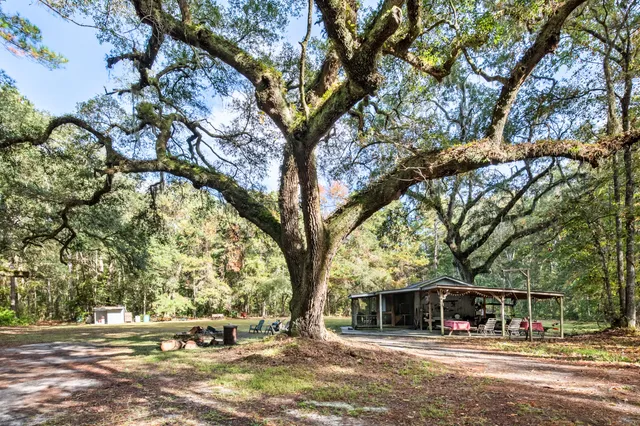 $2,945,000 | 527-acres Spring Grove Road, Adams Run, SC 29426