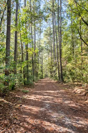 $2,945,000 | 527-acres Spring Grove Road, Adams Run, SC 29426