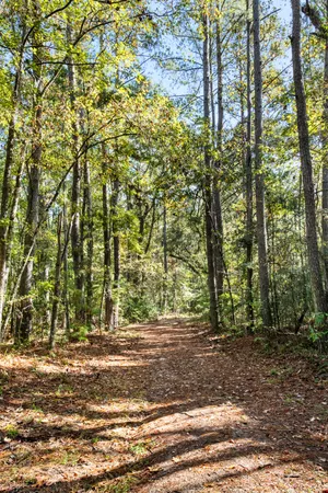 $2,945,000 | 527-acres Spring Grove Road, Adams Run, SC 29426