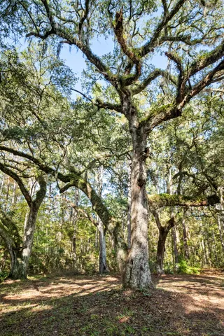 $2,945,000 | 527-acres Spring Grove Road, Adams Run, SC 29426