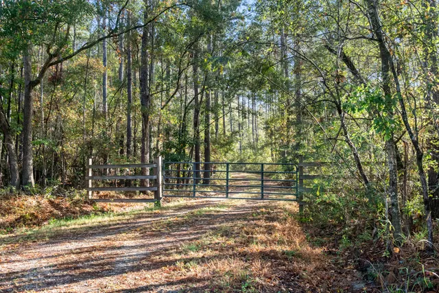 $2,945,000 | 527-acres Spring Grove Road, Adams Run, SC 29426