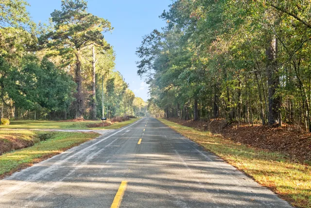 $2,945,000 | 527-acres Spring Grove Road, Adams Run, SC 29426