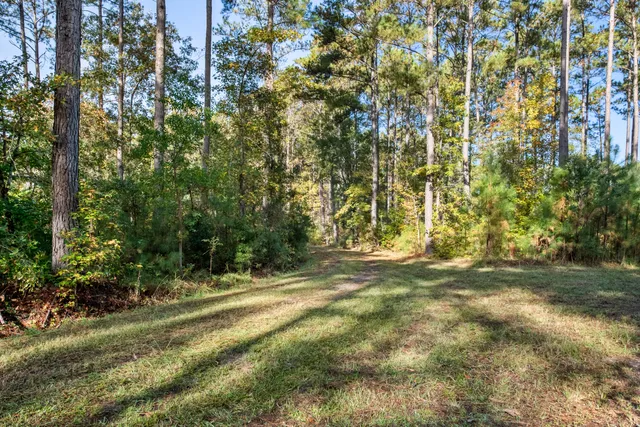 $2,945,000 | 527-acres Spring Grove Road, Adams Run, SC 29426