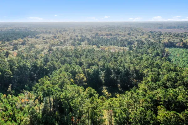 $2,945,000 | 527-acres Spring Grove Road, Adams Run, SC 29426