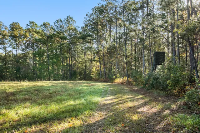 $2,945,000 | 527-acres Spring Grove Road, Adams Run, SC 29426