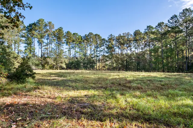 $2,945,000 | 527-acres Spring Grove Road, Adams Run, SC 29426