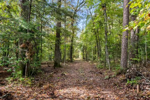 $2,945,000 | 527-acres Spring Grove Road, Adams Run, SC 29426