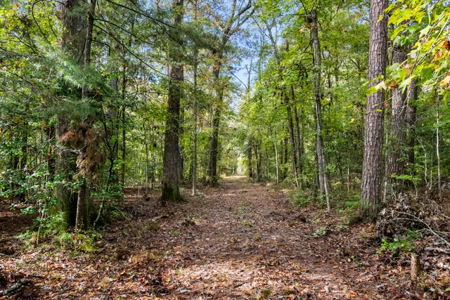 $2,945,000 | 527-acres Spring Grove Road, Adams Run, SC 29426