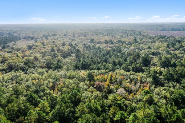 $2,945,000 | 527-acres Spring Grove Road, Adams Run, SC 29426