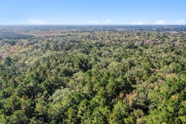 $2,945,000 | 527-acres Spring Grove Road, Adams Run, SC 29426