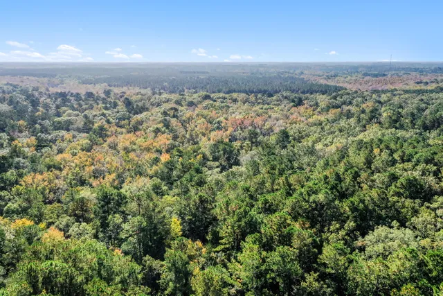 $2,945,000 | 527-acres Spring Grove Road, Adams Run, SC 29426